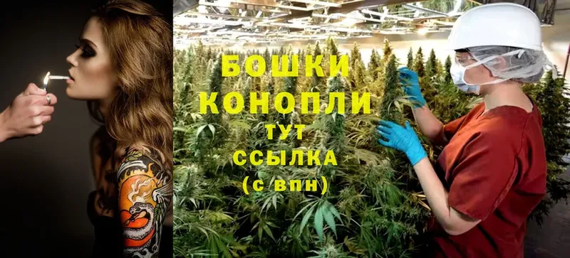 даркнет сайт  Кохма  Конопля White Widow 